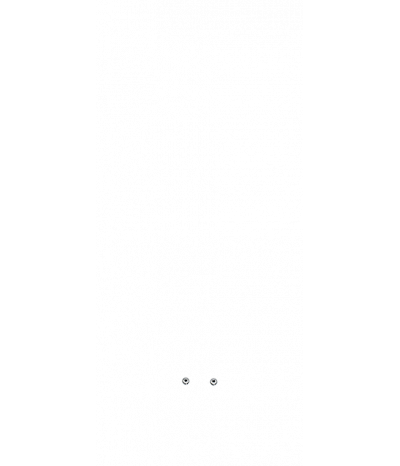  
Минифорсунки для спины: 2