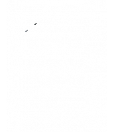  
Минифорсунки для ног: 2