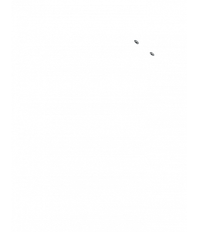  
Минифорсунки для ног: 2