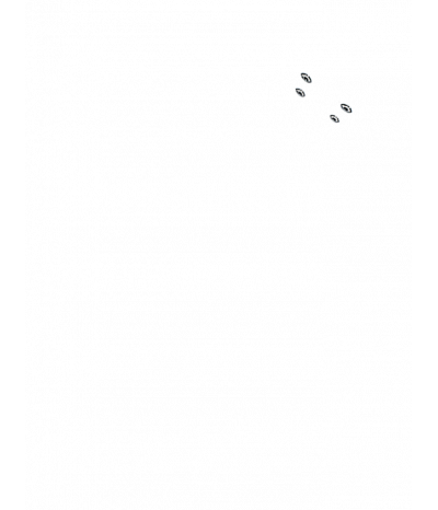  
Минифорсунки для ног: 4