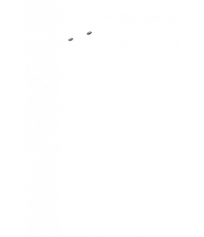  
Минифорсунки для ног: 2