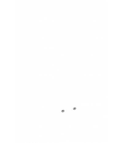  
Минифорсунки для спины: 2