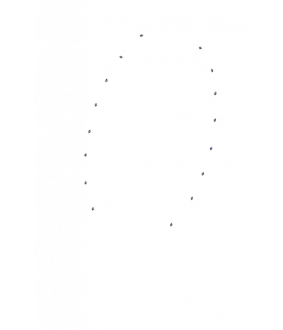  
Хромотерапия Звездный дождь 16:  