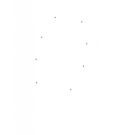  
Хромотерапия Звездный дождь 8:  