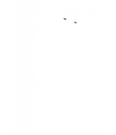  
Минифорсунки для ног: 2
