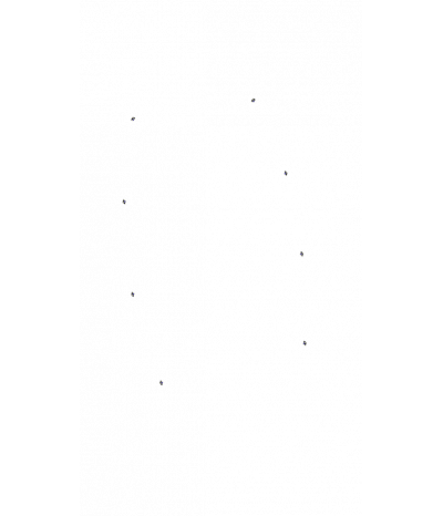  
Хромотерапия Звездный дождь 8:  