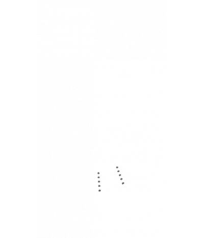  
Система массажа ШИАЦУ:  