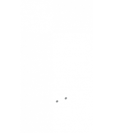  
Минифорсунки для спины: 2