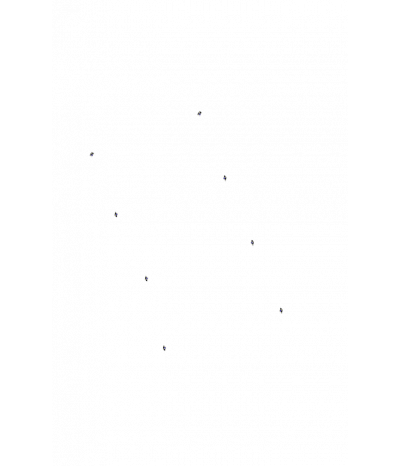  
Хромотерапия Звездный дождь 8:  