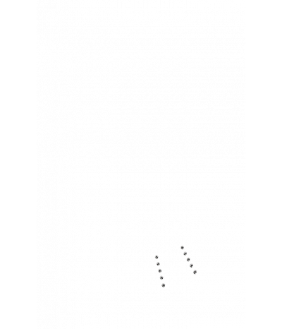  
Система массажа ШИАЦУ:  