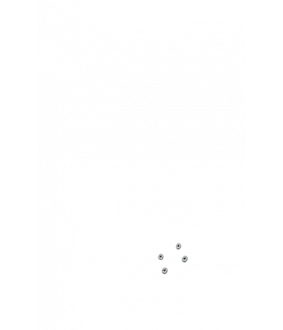  
Минифорсунки для спины: 4