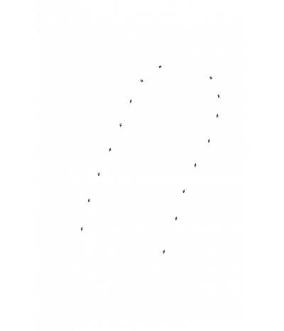  
Хромотерапия Звездный дождь 16:  