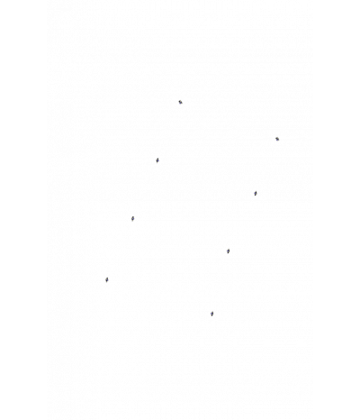  
Хромотерапия Звездный дождь 8:  