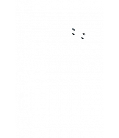  
Минифорсунки для ног: 4
