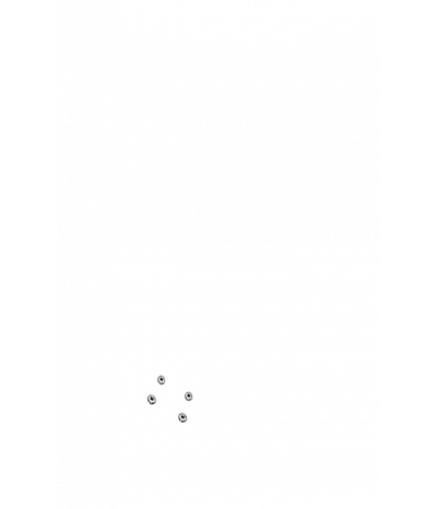  
Минифорсунки для спины: 4