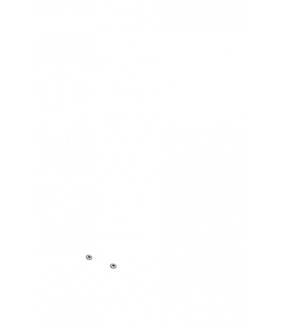  
Минифорсунки для спины: 2