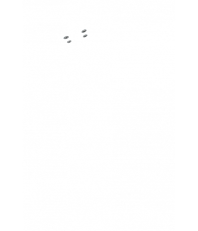 Минифорсунки для ног: 4
Минифорсунки для ног: 4