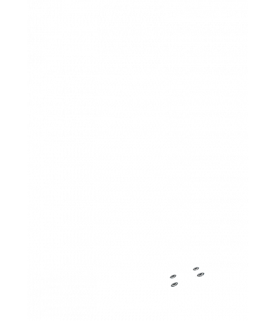 Минифорсунки для ног: 4
Минифорсунки для ног: 4