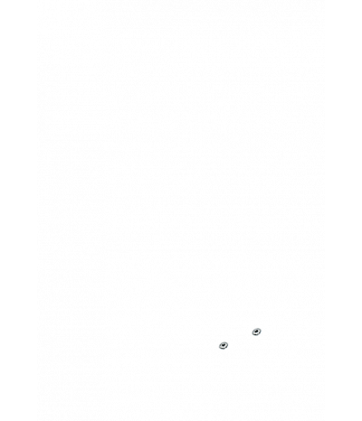  
Минифорсунки для спины: 2