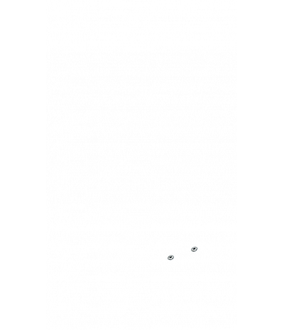  
Минифорсунки для спины: 2
