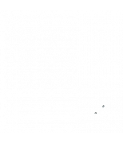  
Минифорсунки для спины: 2