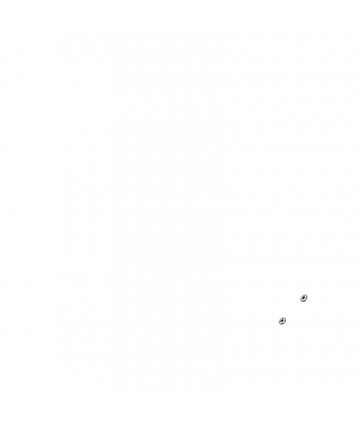 
Минифорсунки для спины: 2