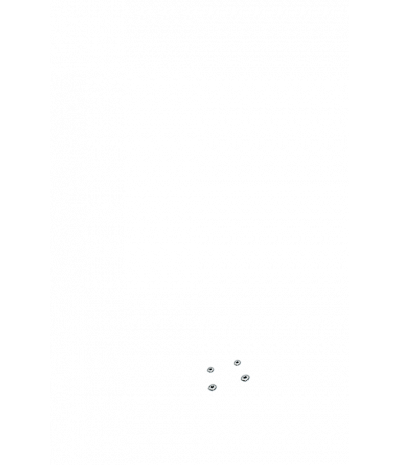  
Минифорсунки для спины: 4
