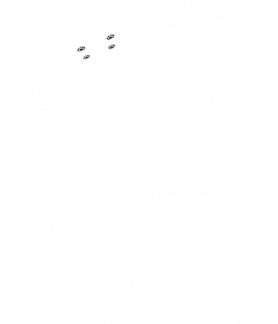 Минифорсунки для ног: 4
Минифорсунки для ног: 4