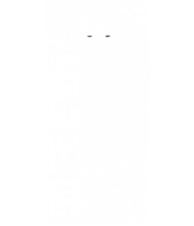  
Минифорсунки для ног: 2