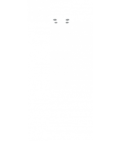  
Минифорсунки для ног: 4